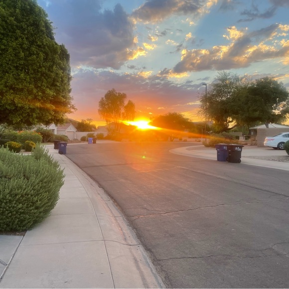 Meet your Posher, Peter - Picture 1 of 1